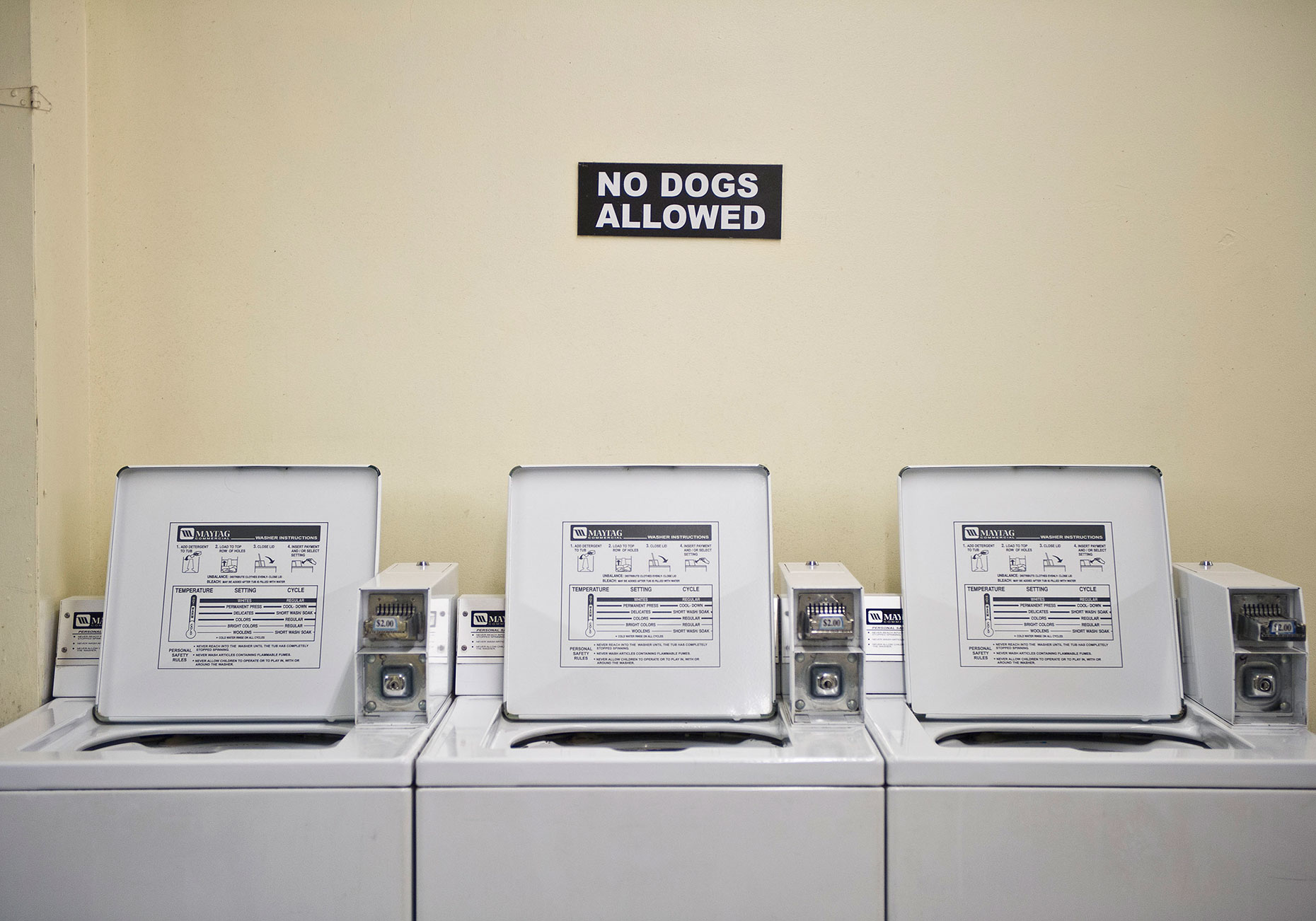 PAR_PhotoReporters_no-dogs-in-laundry-machines