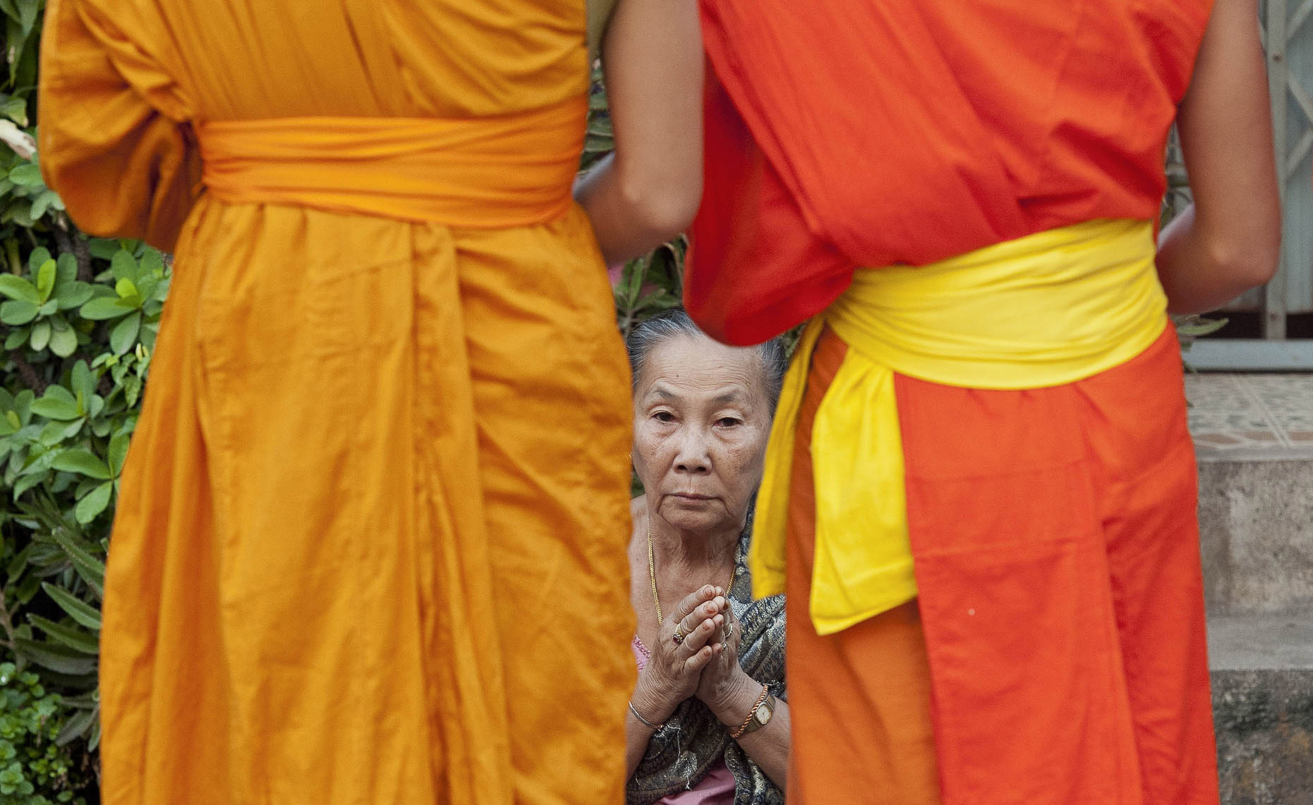 TRA_PhotoReporters_Woman-offers-prayers-to-monks-during-tak-bat-procession_Luang-Prabang_Laos