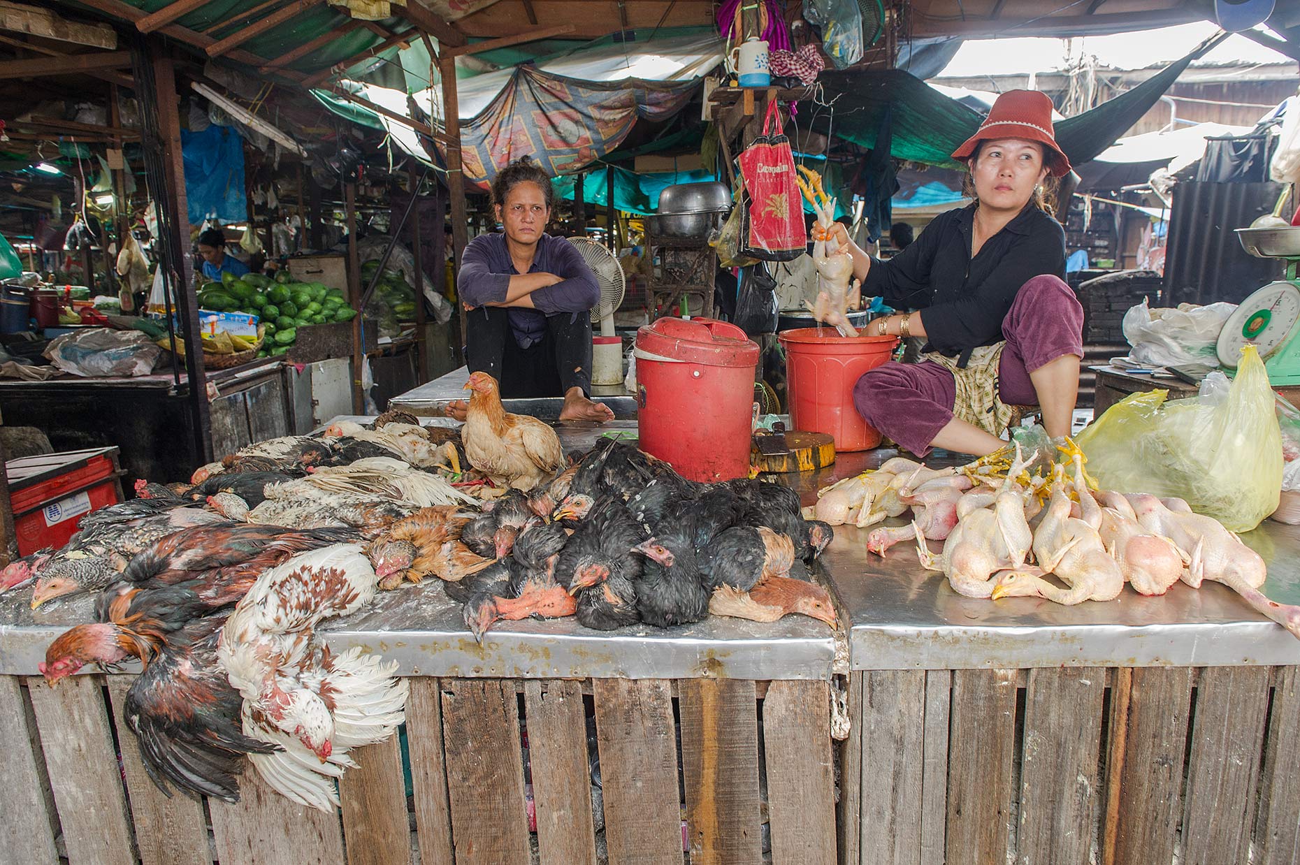 TRA_PhotoReporters_poultry-vendor-at-market_Cambodia