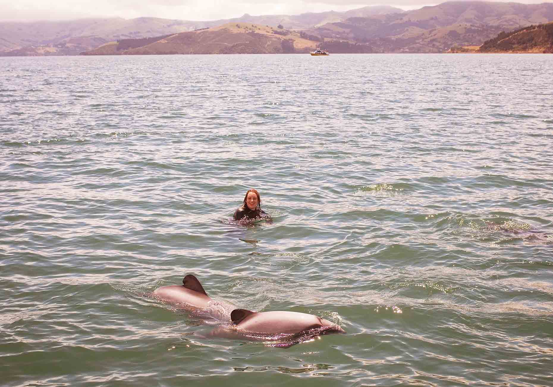 TRA_PhotoReporters_swimming-with-hector-dolphins_Akaroa_NZ